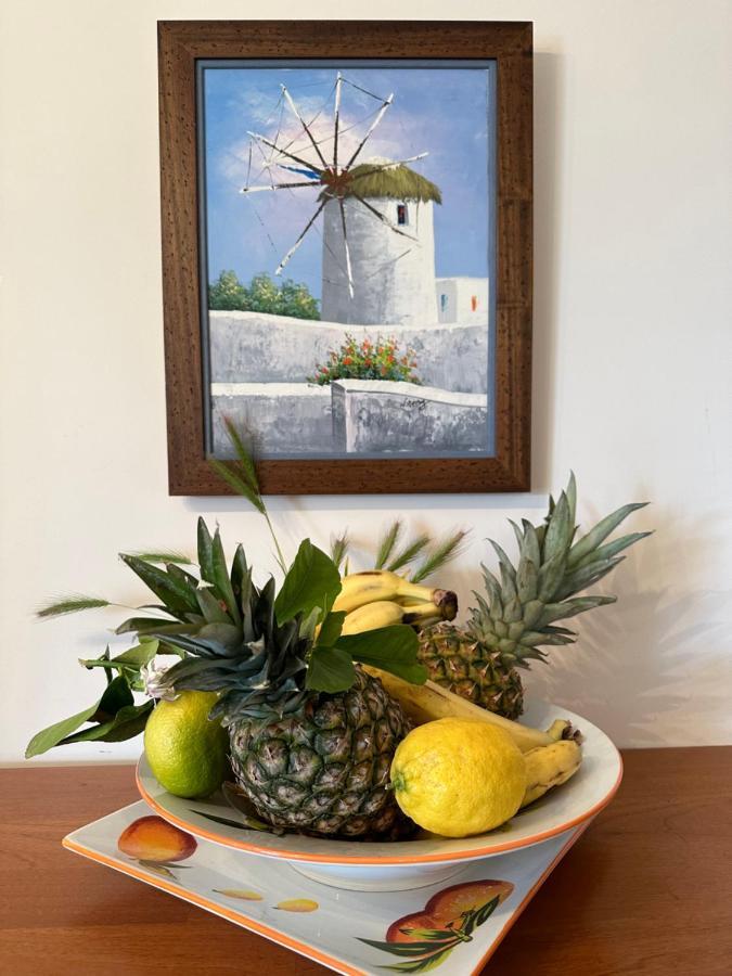 Casa Ivi Monastiraki (Phocis)