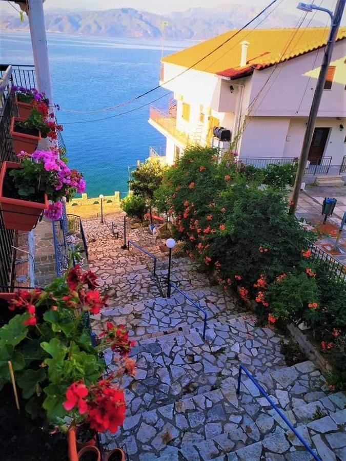 Casa Ivi Monastiraki (Phocis)